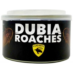 Lugarti Canned Dubia...