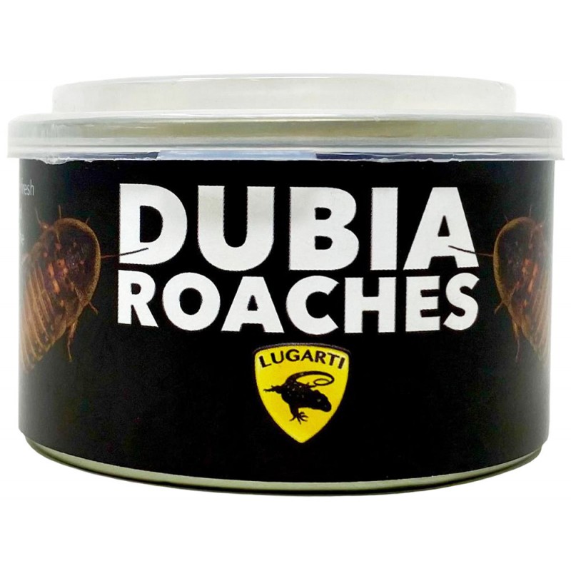 Lugarti Canned Dubia Roaches - Large