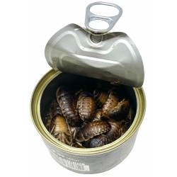 Lugarti Canned Dubia Roaches - Large