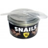 Lugarti Canned Snails