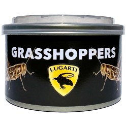 Lugarti Canned Grasshoppers