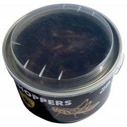 Lugarti Canned Grasshoppers