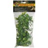 Zoo Med Natural Bush - Amazonian Phyllo - Small