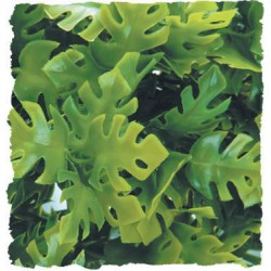 Zoo Med Natural Bush - Amazonian Phyllo - Small