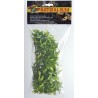 Zoo Med Natural Bush - Bolivian Croton - Medium