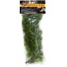 Zoo Med Natural Bush - Cashuarina - Small