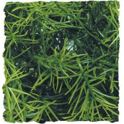 Zoo Med Natural Bush - Cashuarina - Small