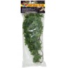 Zoo Med Natural Bush - Congo Ivy - Small