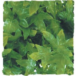 Zoo Med Natural Bush - Congo Ivy - Small