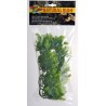 Zoo Med Natural Bush - Malaysian Fern - Small