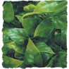 Zoo Med Natural Bush - Mexican Phyllo - Small