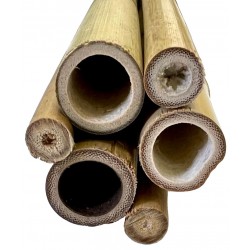 Lugarti Natural Bamboo Poles - Small