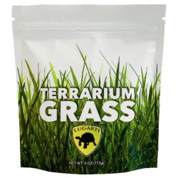 Lugarti Terrarium Grass