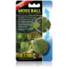 Exo Terra Moss Ball