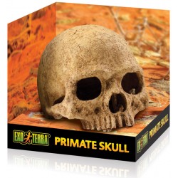 Exo Terra Skull - Primate