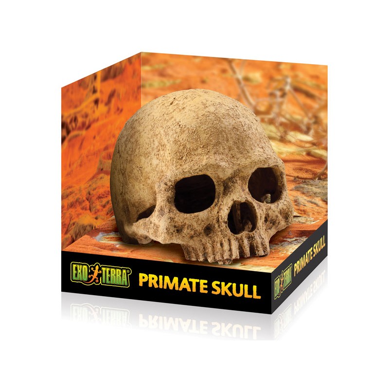 Exo Terra Skull - Primate