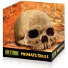 Exo Terra Skull - Primate