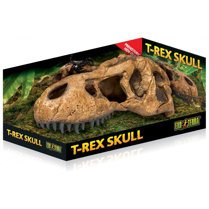 Exo Terra Skull - T-Rex