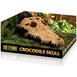 Exo Terra Skull - Crocodile