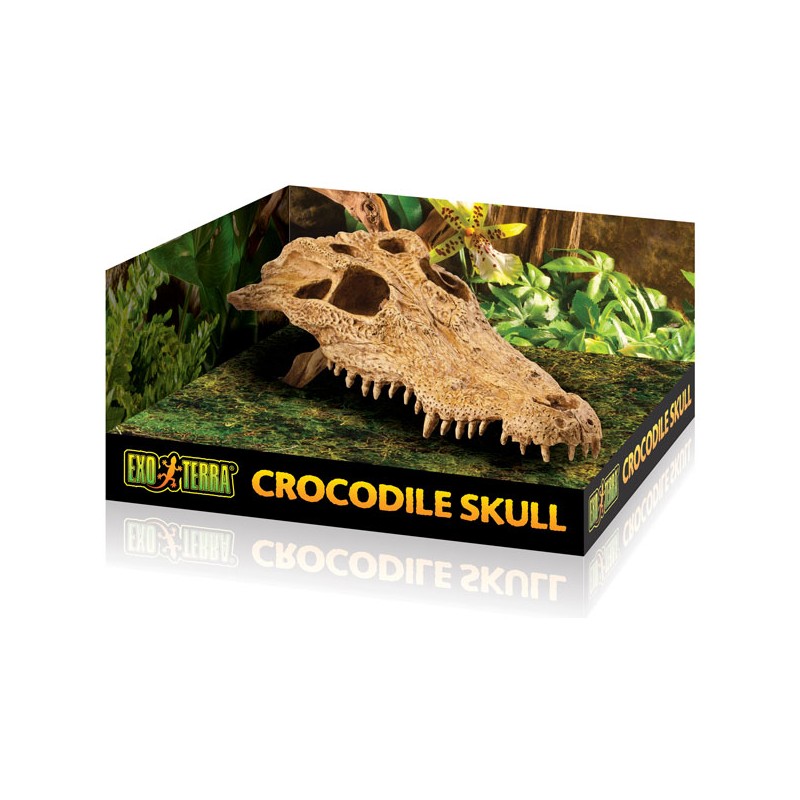 Exo Terra Skull - Crocodile