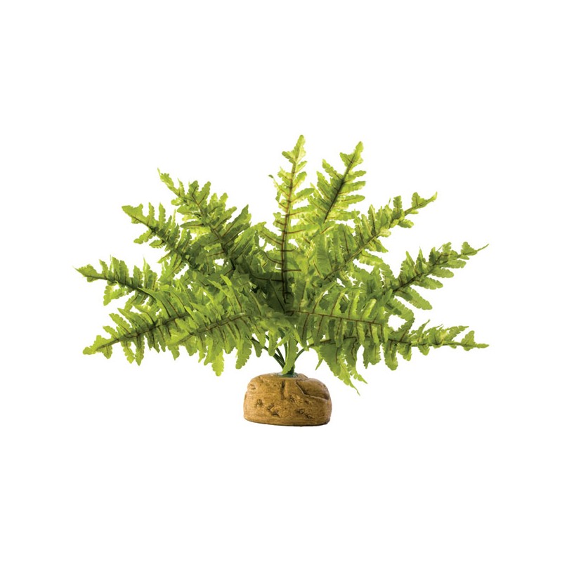 Exo Terra Boston Fern - Small