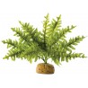 Exo Terra Boston Fern - Small