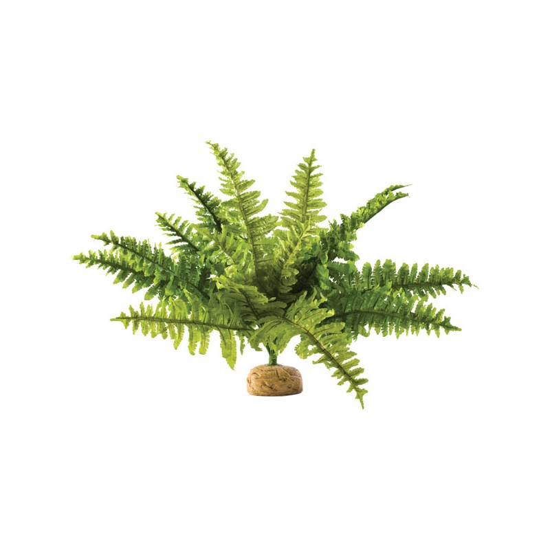 Exo Terra Boston Fern - Medium