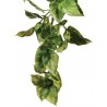 Exo Terra Jungle Plant - Amapallo - Small