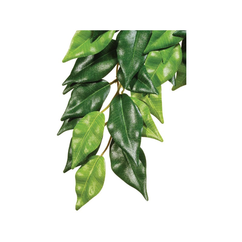 Exo Terra Jungle Plant - Ficus - Small