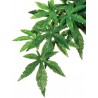 Exo Terra Jungle Plant - Abutilon - Small