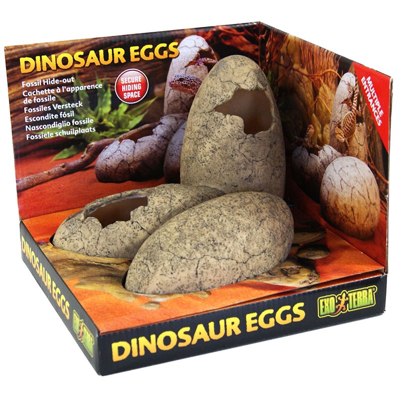 Exo Terra Dinosaur Eggs