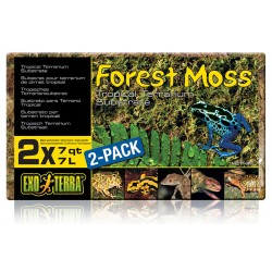 Exo Terra Forest Moss