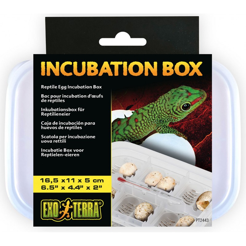 Exo Terra Incubation Box