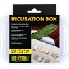 Exo Terra Incubation Box