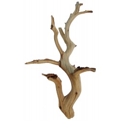 Lugarti Ghost Wood - Small