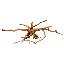 Lugarti Spider Wood - Small