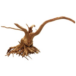 Lugarti Spider Wood - Medium