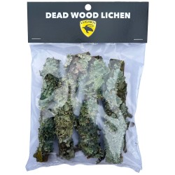 Lugarti Dead Wood Lichen