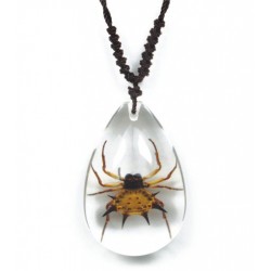 Necklace - Spiny Spider...