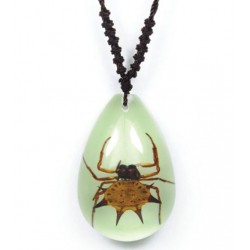 Necklace - Spiny Spider...