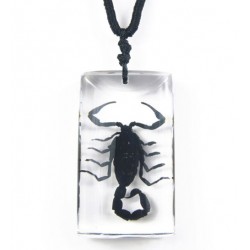 Necklace - Black Scorpion...