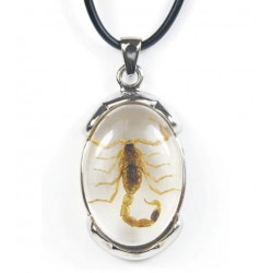 Necklace - Yellow Scorpion...