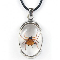 Necklace - Spiny Spider...