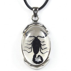 Necklace - Black Scorpion...