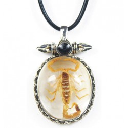 Necklace - Yellow Scorpion...