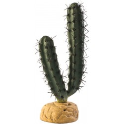 Exo Terra Finger Cactus