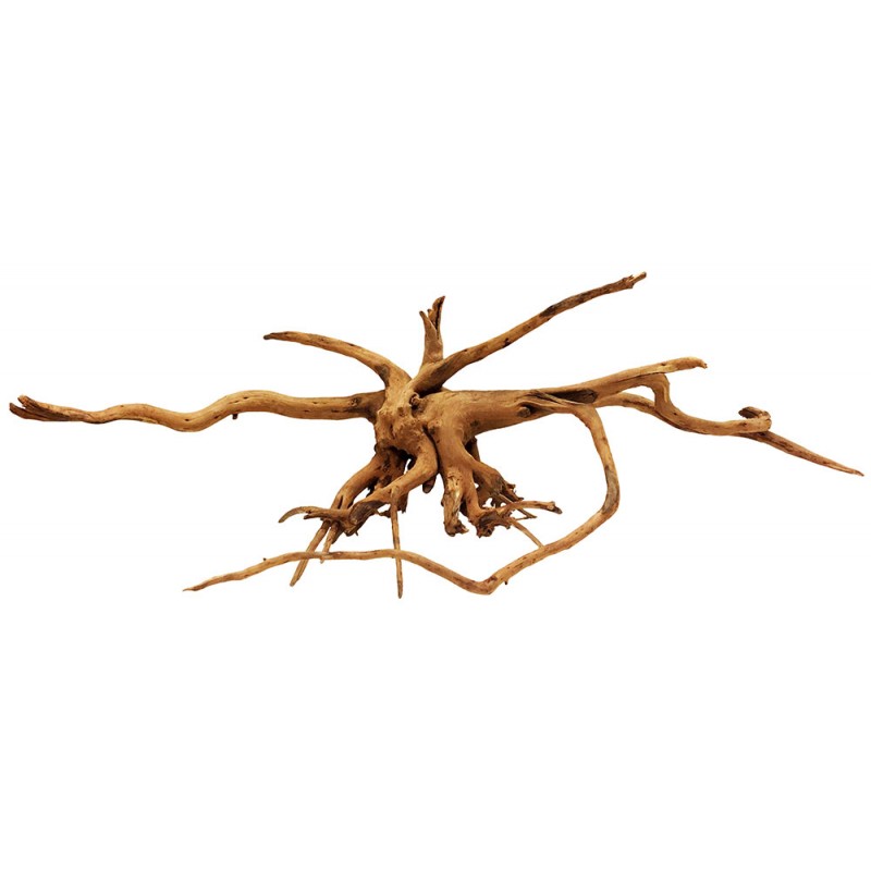 Lugarti Spider Wood - Jumbo
