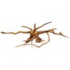 Lugarti Spider Wood - Jumbo