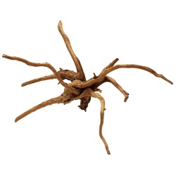 Lugarti Spider Wood - Jumbo
