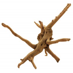 Lugarti Spider Wood - Jumbo
